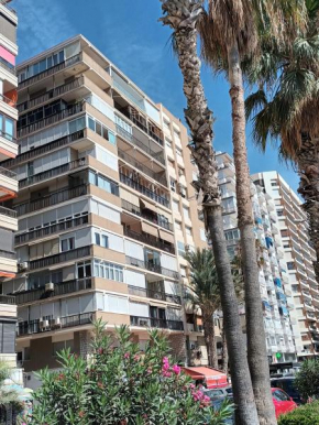New Maritimo II, Malaga